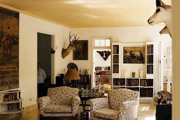 Safari Bricobistro, Safari Living Room Decor
