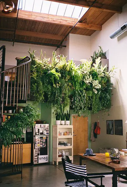faire un mur végétal intérieur pas cher