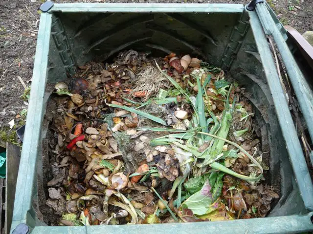 compost-composteur