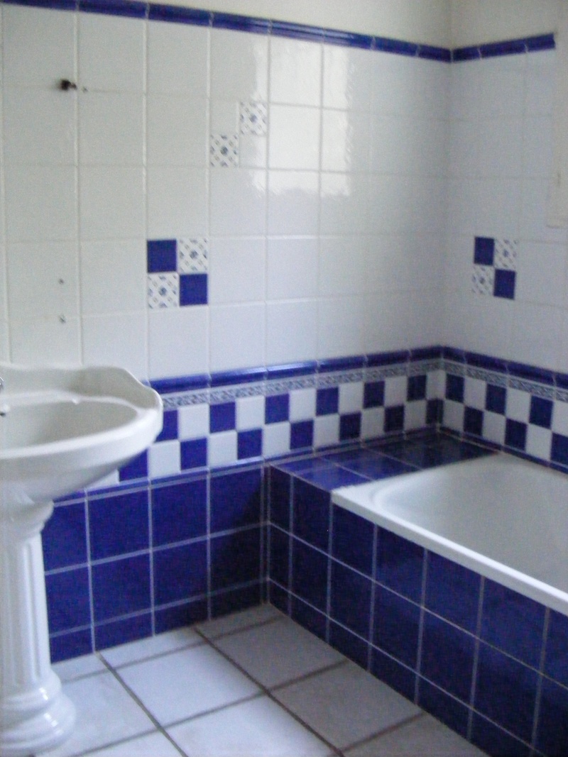 salle dev bain bleu1