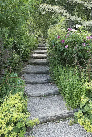 escalier jardin1