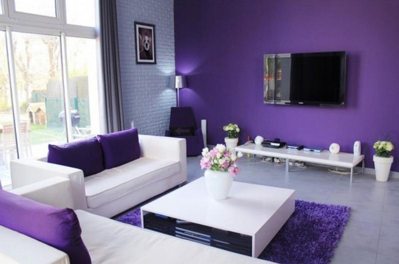 salon violet11