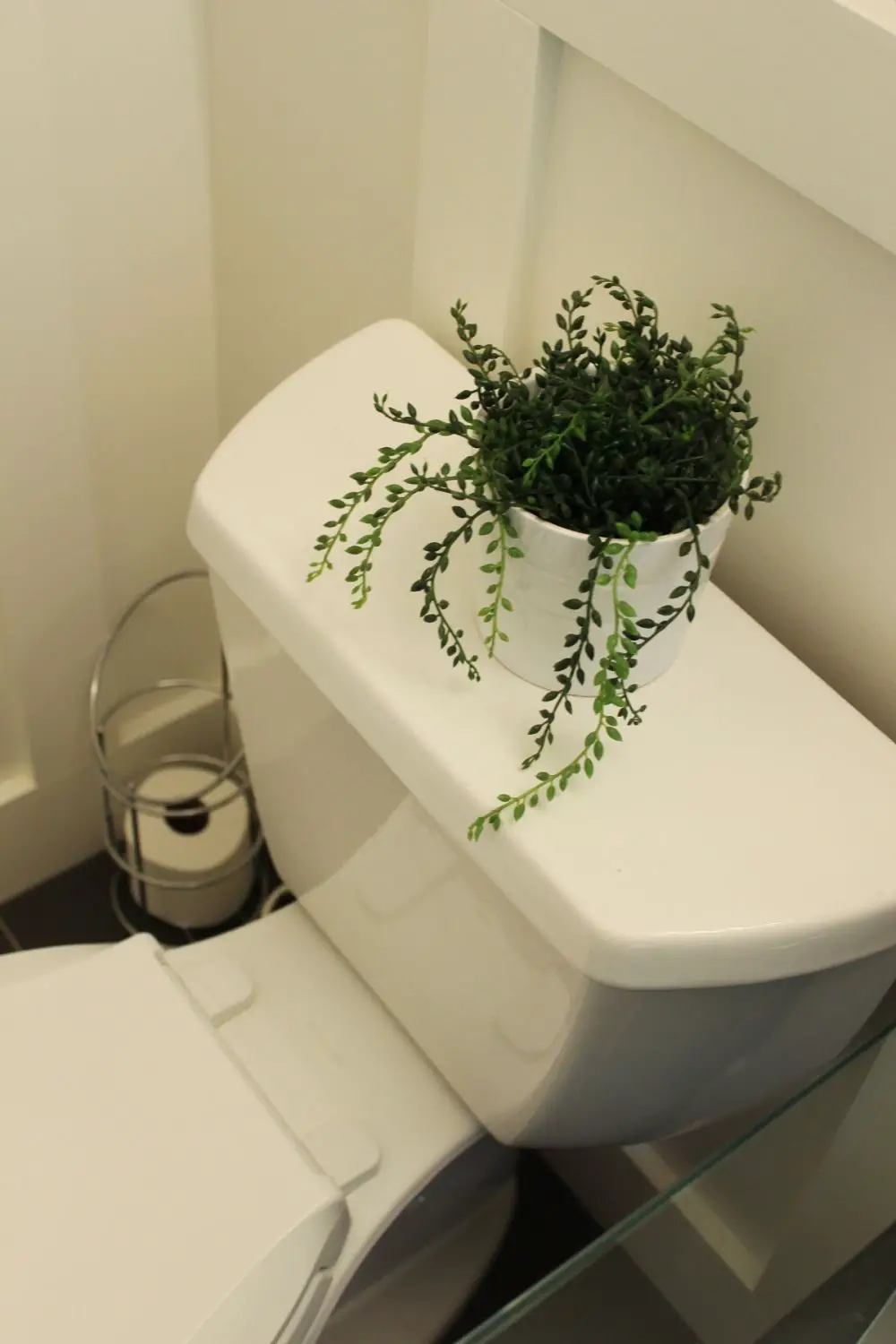 Цветы в ванной без окон. Цветы в туалетной комнате. Искусственные цветы в туалете. Растения в санузле. Комнатные растения в ванной.