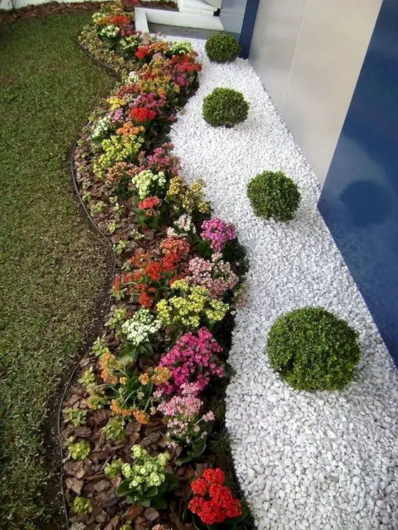 jardin avec fleurs colorées